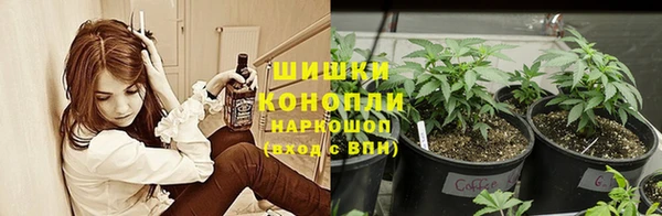 спиды Верея