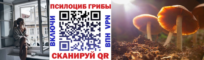 Галлюциногенные грибы MAGIC MUSHROOMS  Южно-Сухокумск 